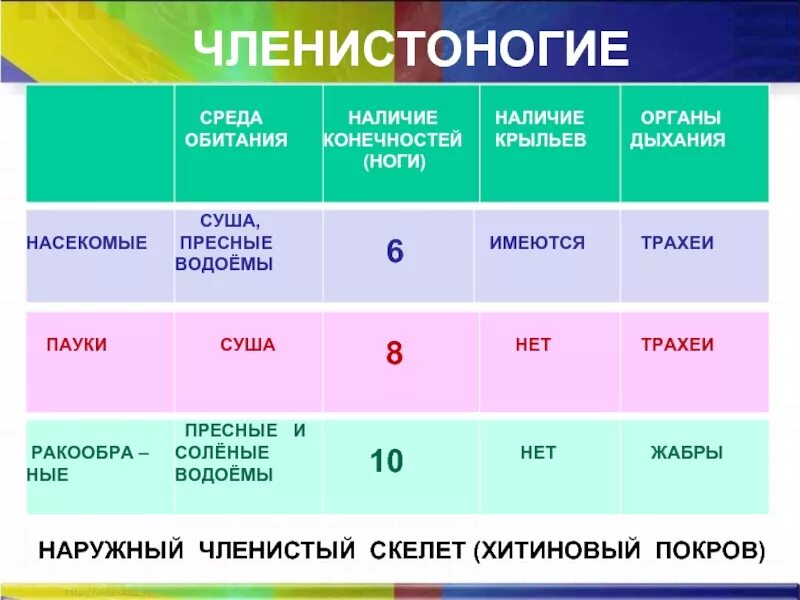 Тесты среда обитания пятый класс. Членистоногие среда обитания. Место обитания членистоногих. Среда обитания членистоногих 7 класс. Местообитание членистоногих.