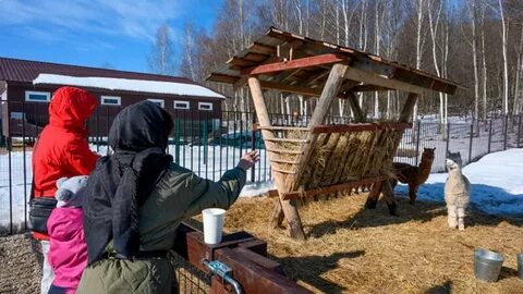 Семейный клуб бунин ручей