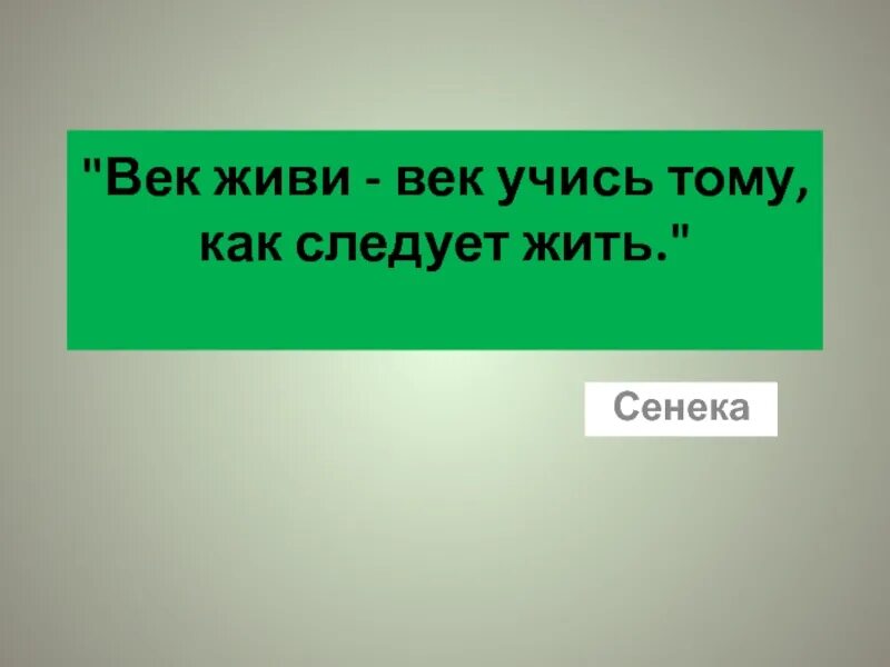 Два века не проживешь 86. Век живи век учись тому. Век живи век учись тому как следует жить. Век живи век учись цитаты. Век живи век учись Сенека.