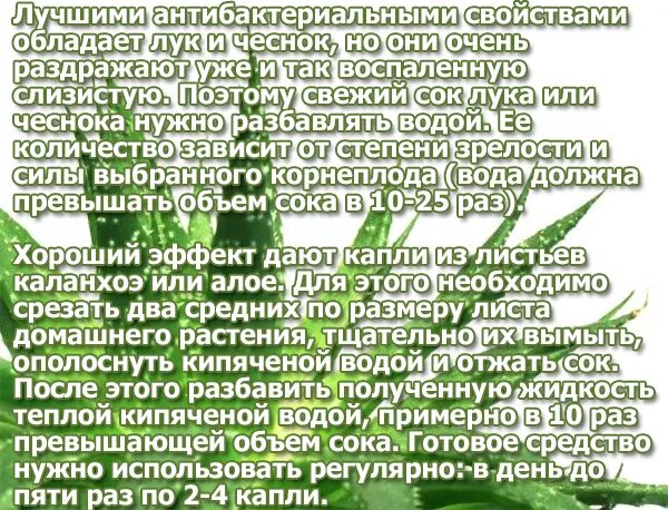 Насморк лечение быстро у взрослых народная. Насморк народные средства. Народные средства от соплей. Как вылечить насморк у ребенка быстро в домашних условиях. Народные способы от насморка.