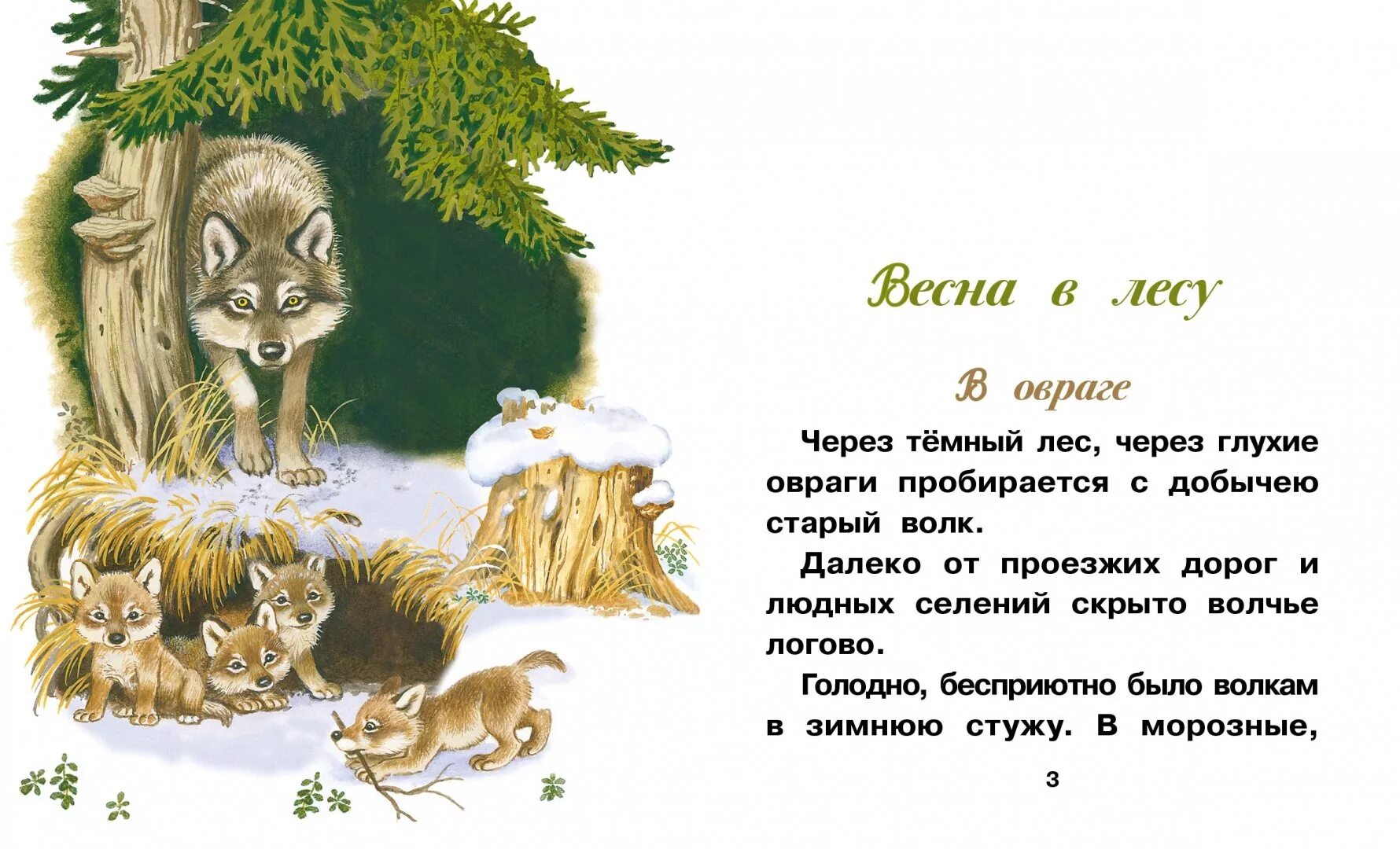 Рассказы это было в лесу