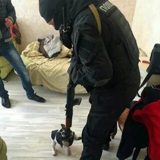 Опастный или опасный