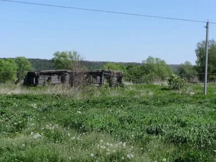 Березовка пензенская область