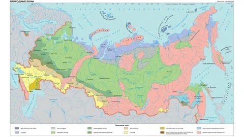 Макрорегионы России. Крупные географические районы России. - Ура! География!