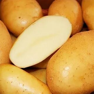 Картофель крепыш