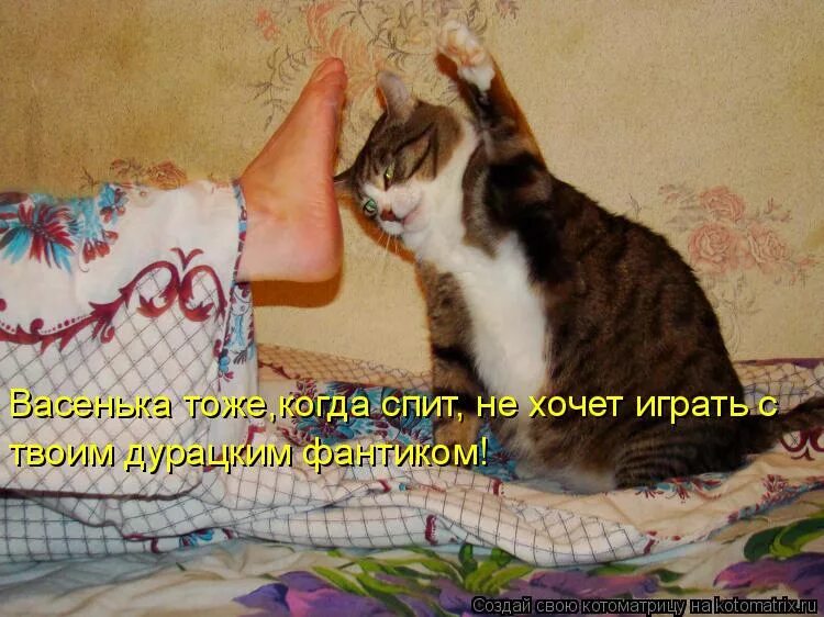 Комиксы про котов. Што делот если хочиш спат. Играй спать хочешь. Я ложусь спать. Спать хочется картинки прикольные.