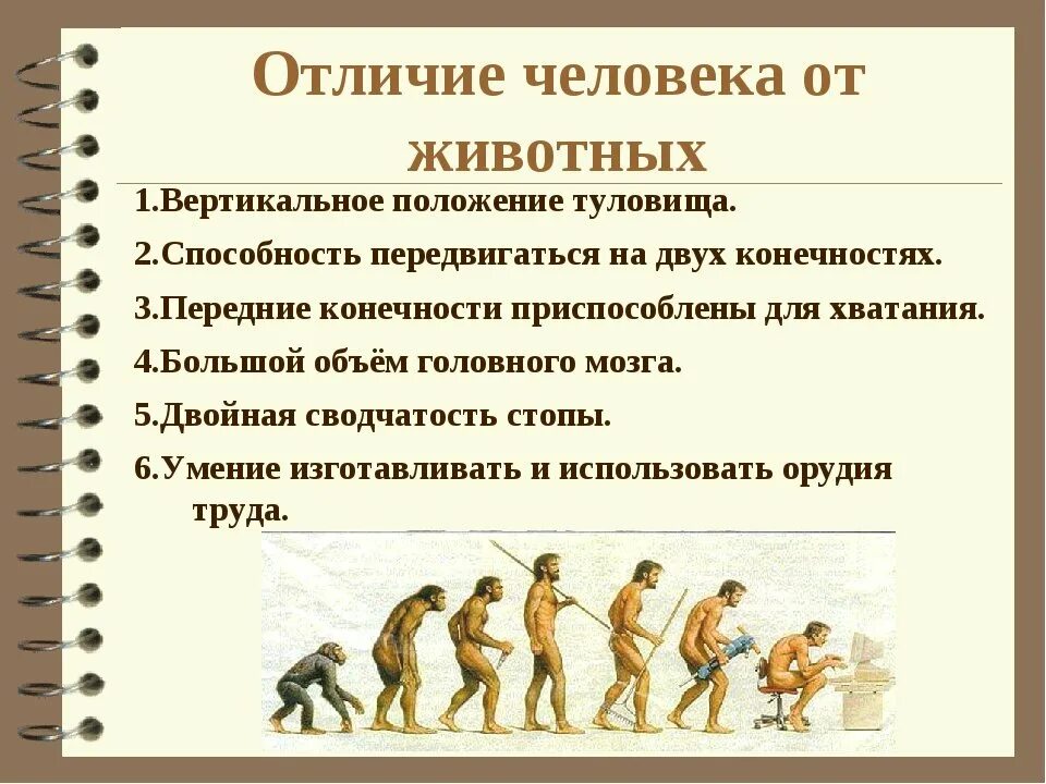 Отличие народа. Отличие человека от животных. Отличие человека оттживотного. Отличие человека от живо. Отличия с человека от жив.