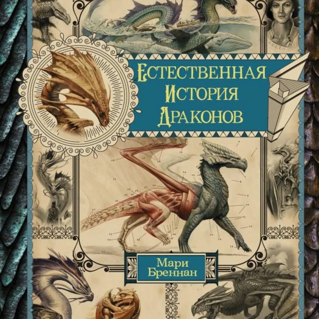 Книга естественные истории. Мари Бреннан естественная история драконов. История о драконе. Естественная история драконов мемуары леди Трент. Книга история о драконе.