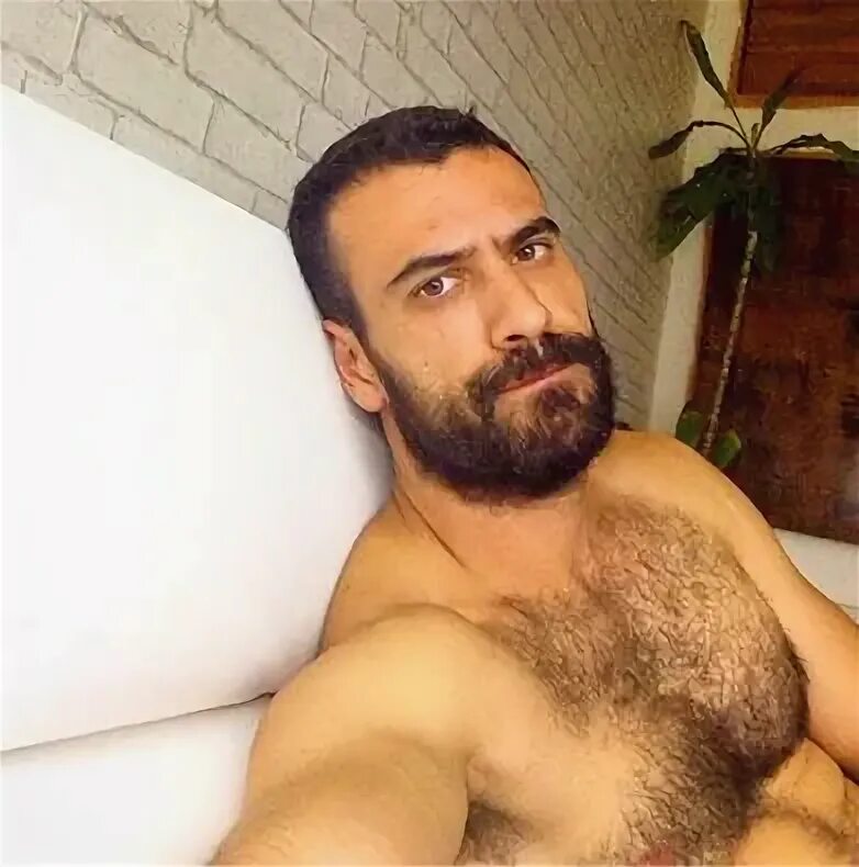 Twitter dicks. Старые волосатые турки. Волосатые турки на массаже. Turkish hairy mans in Hotel.