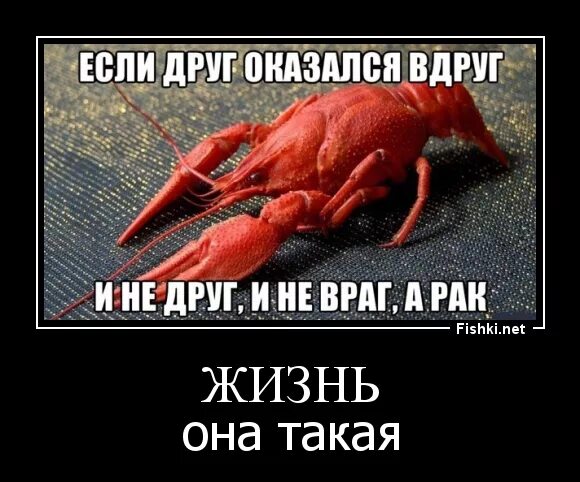 Друг вдруг. Друг вдруг враг. Если друг оказался вдруг демотиватор. И не друг и не враг а так. Если друг оказался вдруг юмор.