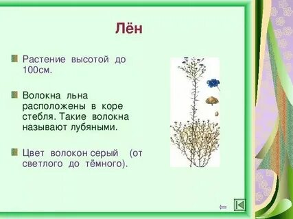 Какие растения можно использовать для получения волокон