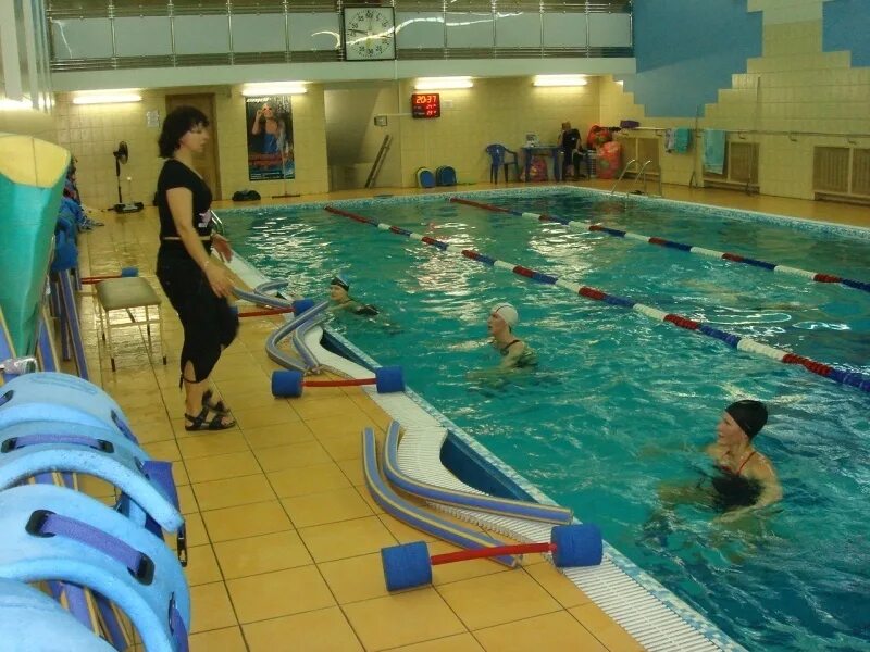 Ilovesport на новочеркасском. Бассейн на новочеркасском проспекте. Морской котик новочеркасск бассейн. Санкт-петербург новочеркасский проспект 5а аквастар юниор. I love sport новочеркасская.