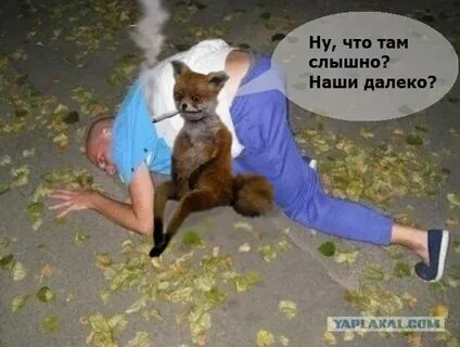 Вот такие то дела