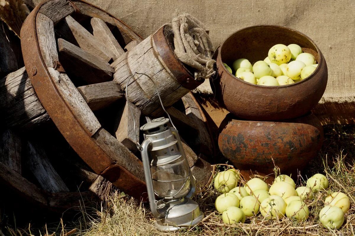 фотосайт деревенские мотивы. деревенский пруд. деревенские мотивы. фотографии деревенского мотива. сумская область природа.