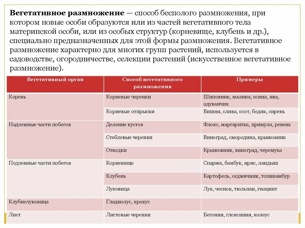 Заполнить таблицу вегетативное размножение. Характеристика вегетативного бесполого размножения. Бесполое и вегетативное размножение таблица. Вегетативное размножение характеристика размножения. Характеристика вегетативного размножения.