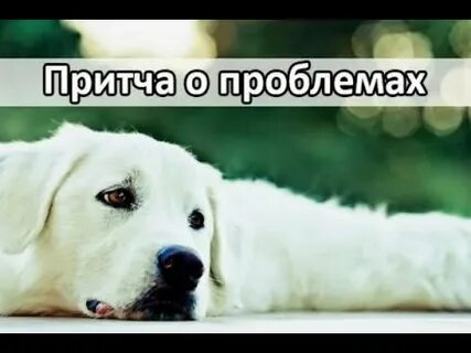 Однажды человек шел