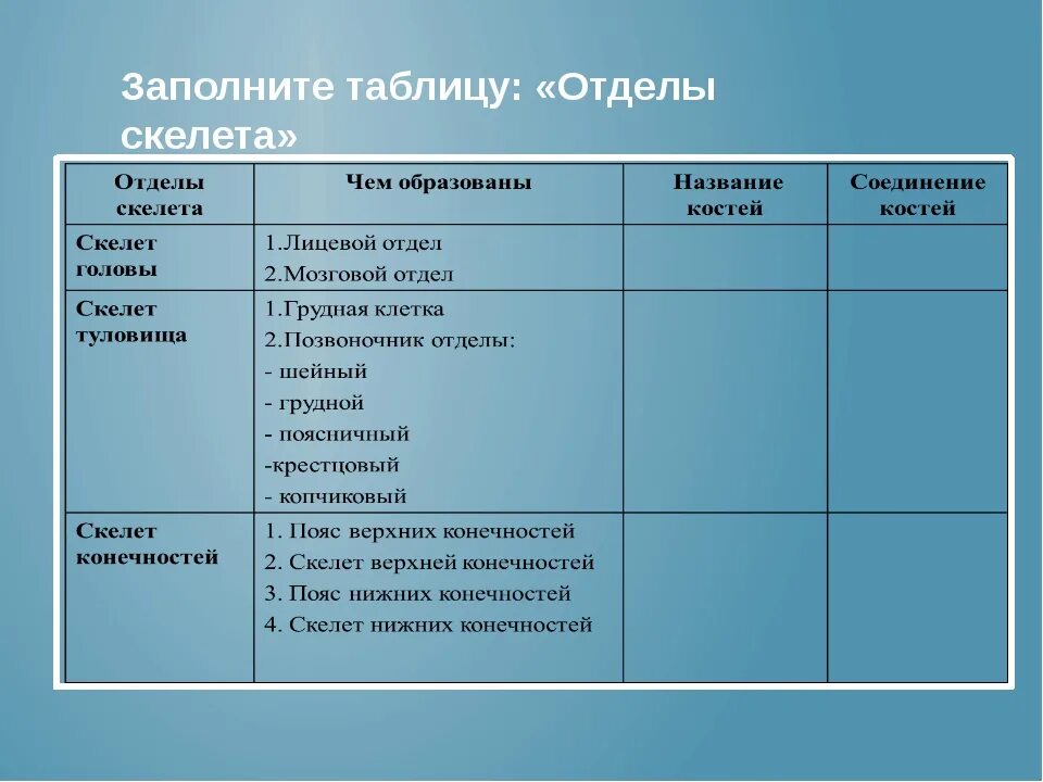 Таблица по биологии 8 класс отделы тела отделы скелета кости скелета. Таблица скелет человека биология 8 класс. Отдел скелета таблица биология 8 класс. Опишите основные отделы скелета человека таблица.