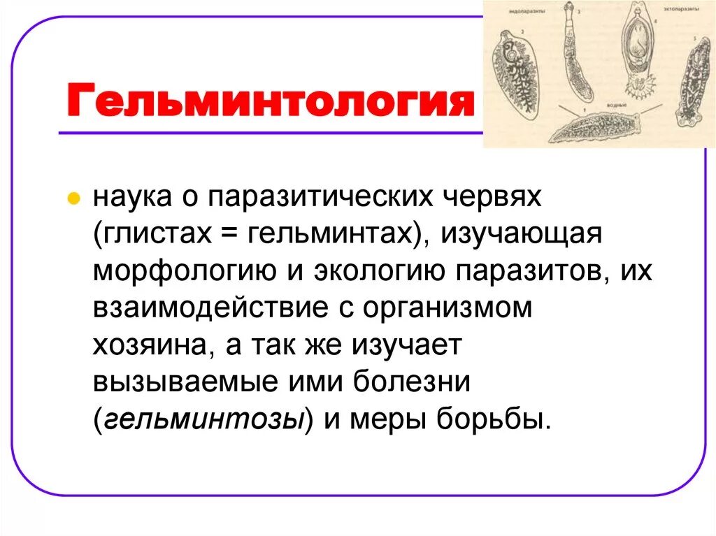 Органах чувств паразитических червей. Строение гельминтов микробиология. Гельминтология. Классификация гельминтозов. Гельминтология (гельминты, паразиты. Гельминтонтология это наука.