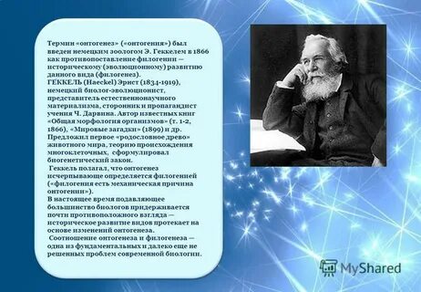 Немецкий биолог э геккель писал в 1904
