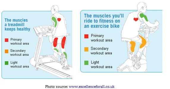 Катание на велосипеде какие мышцы. Велотренажер группы мышц. Мышцы задействованные при езде на велосипеде. Мышцы задействованные на велотренажере. Мышцы задействованные при ходьбе на дорожке.