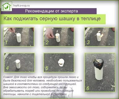 Серная шашка в теплице из поликарбоната осенью