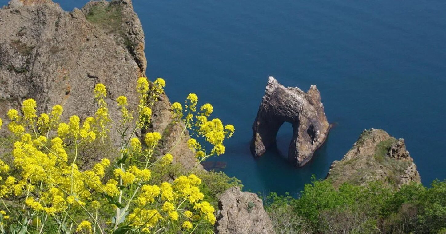 Где в крыму заповедники. Карадагский Крымский заповедник. Карадагский природный заповедник Феодосия. Карадагский природный заповедник золотые ворота.