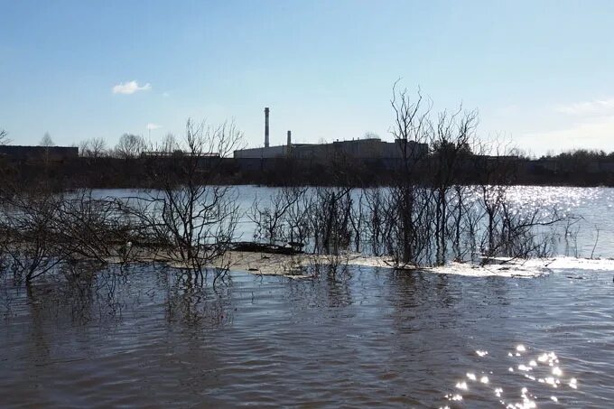 Уровень воды в реке исеть. Река Исеть Далматово. Паводок в Шадринске. Уровень воды в реке Исеть Далматово.