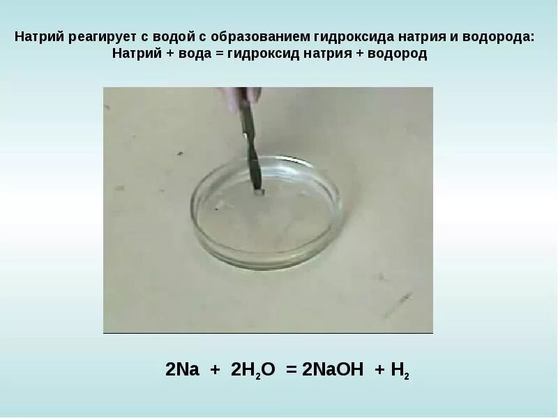 Гидроксид натрия и вода формула. Натрий и вода реакция. Реагирует ли натрий с водой. Металлический натрий с водой. Взаимодействие натрия с водой.