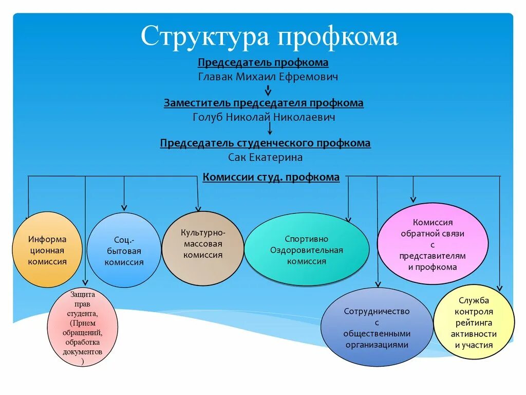 Профсоюз социальное учреждение. Структура профкома. Структура первичной профсоюзной организации. Структура профсоюзной организации студентов. Иерархия профсоюзных организаций.