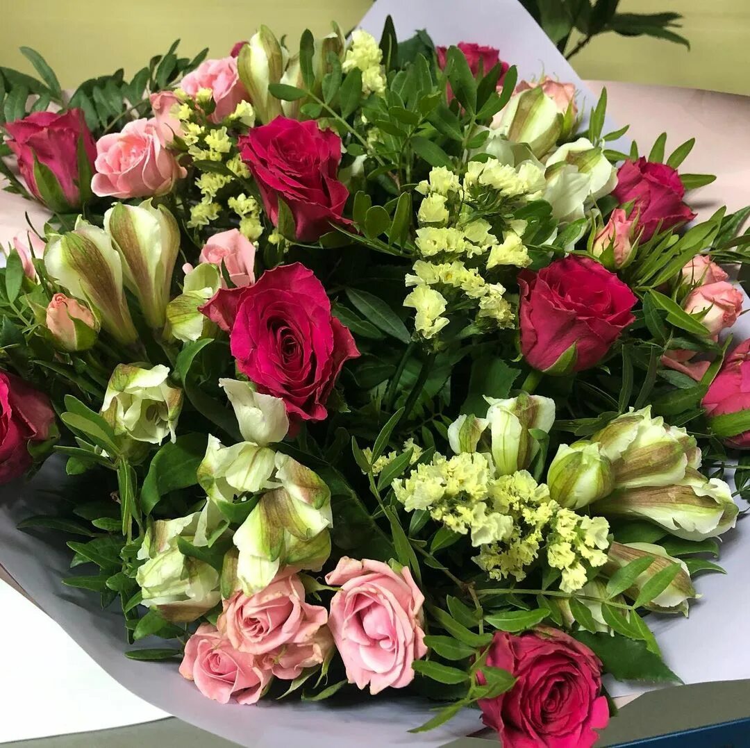 муррляндия санкт петербург софийская улица