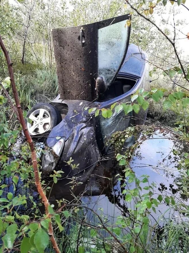 Девушка утонула в трясине. Утонул в болоте. Утонул в болоте. Утонул в болоте. Машина тонет в болоте.