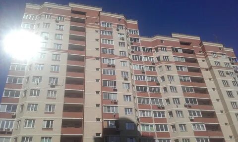 Индекс долгопрудного пацаева