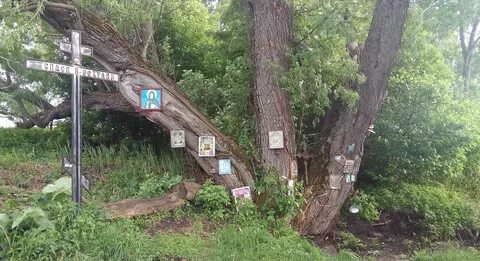Погода красный угол