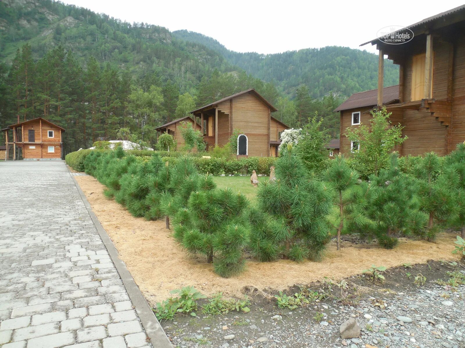 корогон база отдыха горный алтай. база корогон горный алтай. корогон база отдыха горный алтай. корогон. чемал горный алтай корогон.