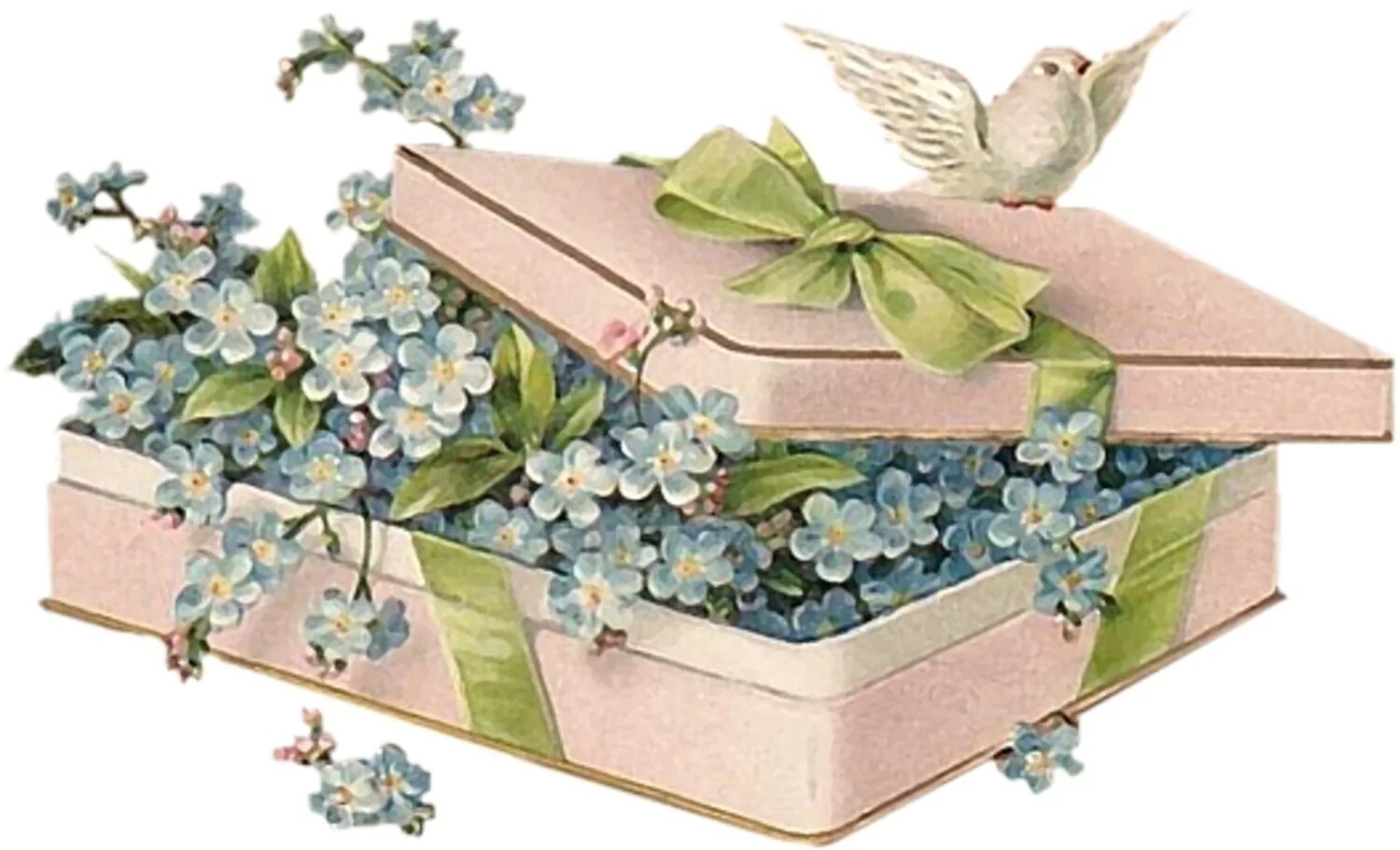 Птичка в коробке. Коробка с весенними цветами. Винтажные подарочные коробки. Винтажные ящики с цветами. Шкатулка с цветами.