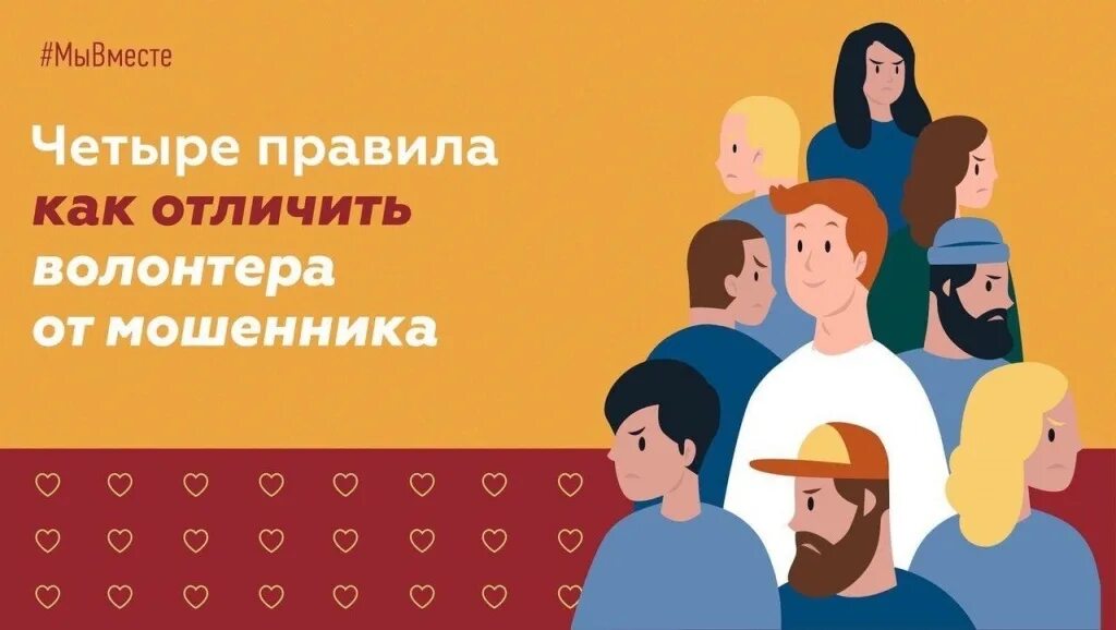 Как отличить мошенников. Как отличить волонтера от мошенника. Как отличать волонтеров. Как отличить мошенника. Волонтеры мошенники.