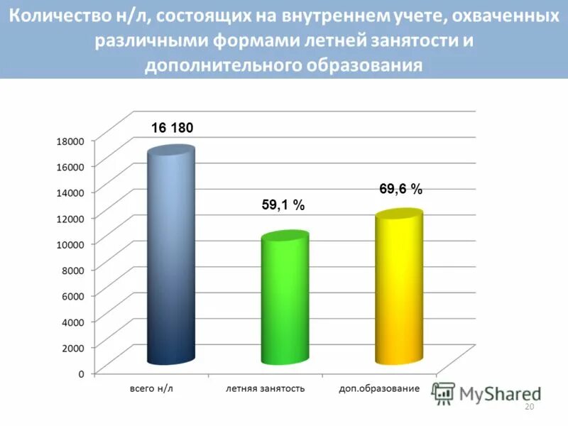 занятость дополнительным образованием