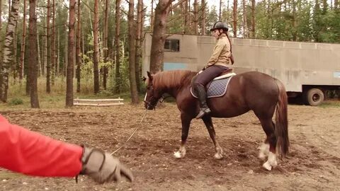 Веконь