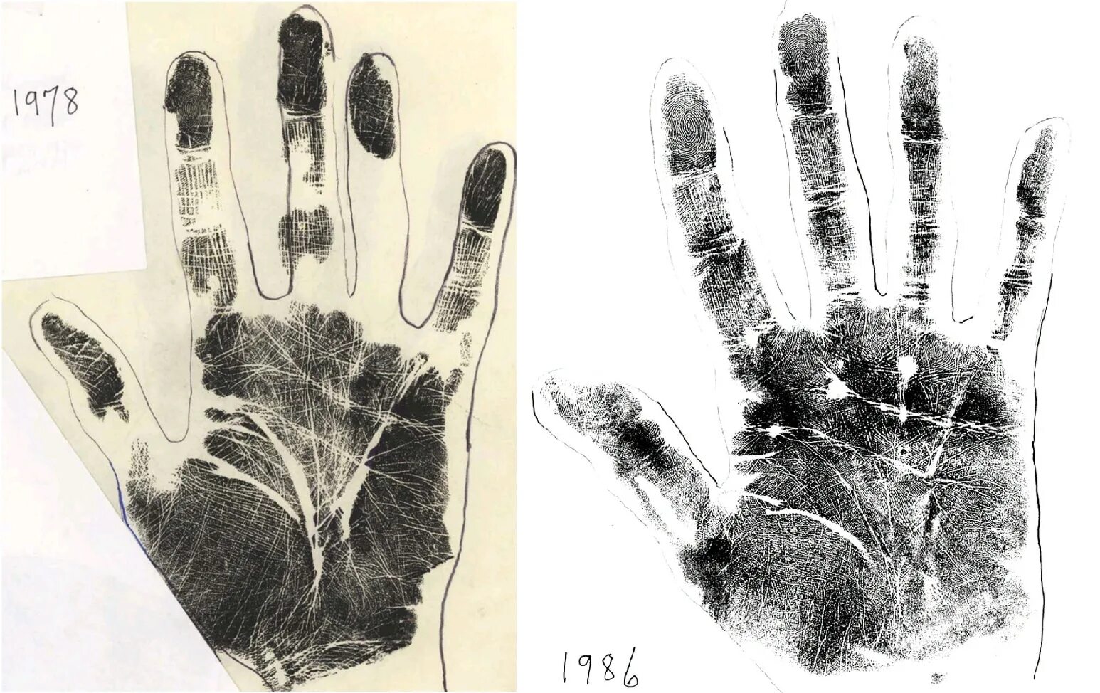 вино хиромант