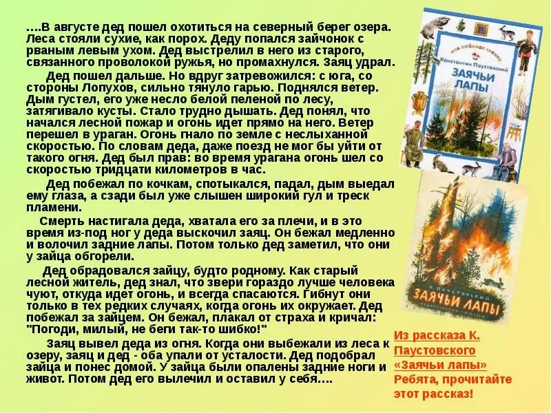 Кратко рассказ заячьи лапы паустовского. В августе дед пошел охотиться на Северный берег. В августе дед пошел охотиться на Северный берег озера изложение. В августе дед пошел охотиться на Северный берег на озера леса стояла. Заячьи лапы Паустовский Лесной пожар.