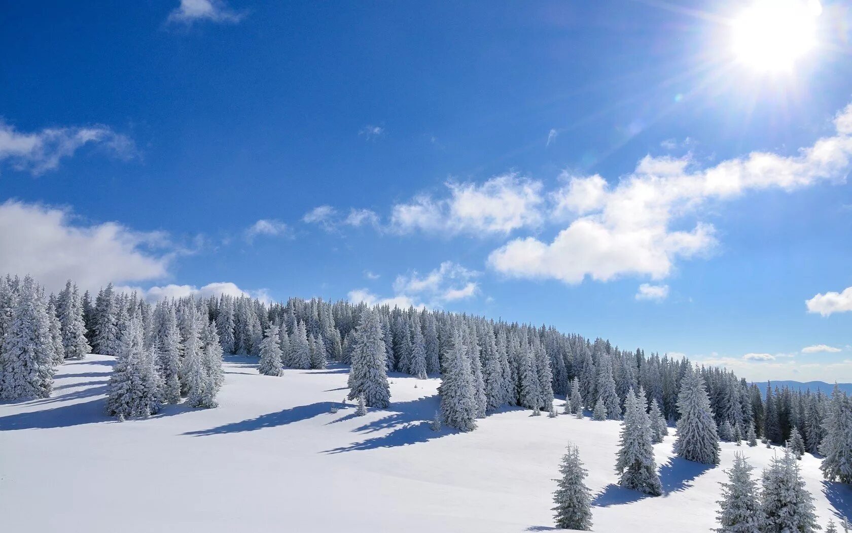 Snow is beautiful. Зимний лес. Снежный лес. Зимой в лесу. Зимний пейзаж.