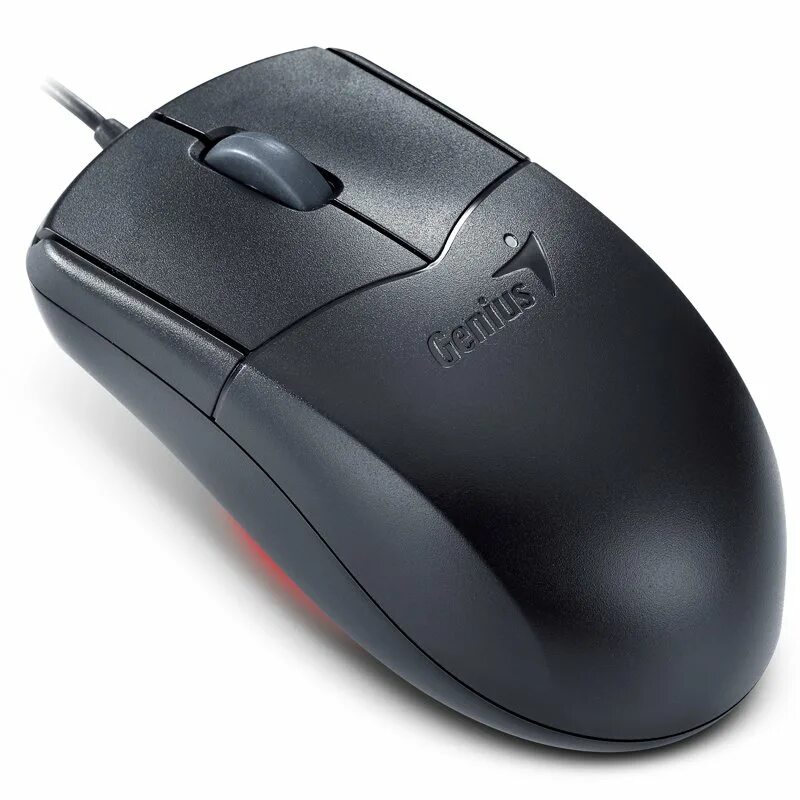 Mouse en