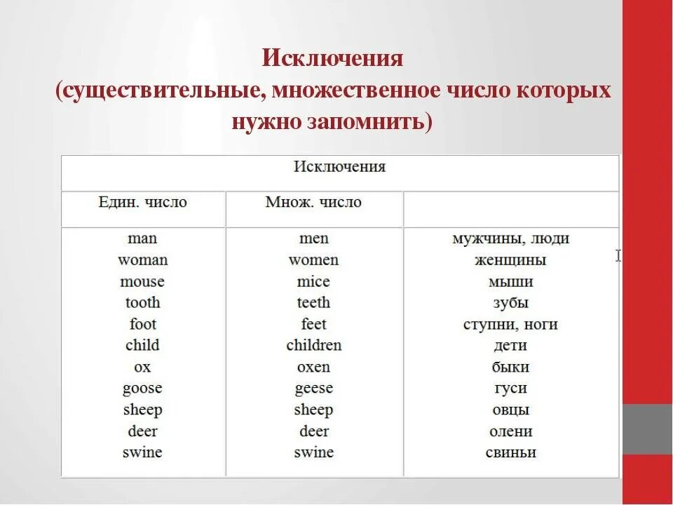 Жизнь множественное число. Английский существительные во множественном числе исключения. Множественное число имен существительных в английском. Формы множественного числа в русском языке. Слова исключения множественного числа в английском языке.