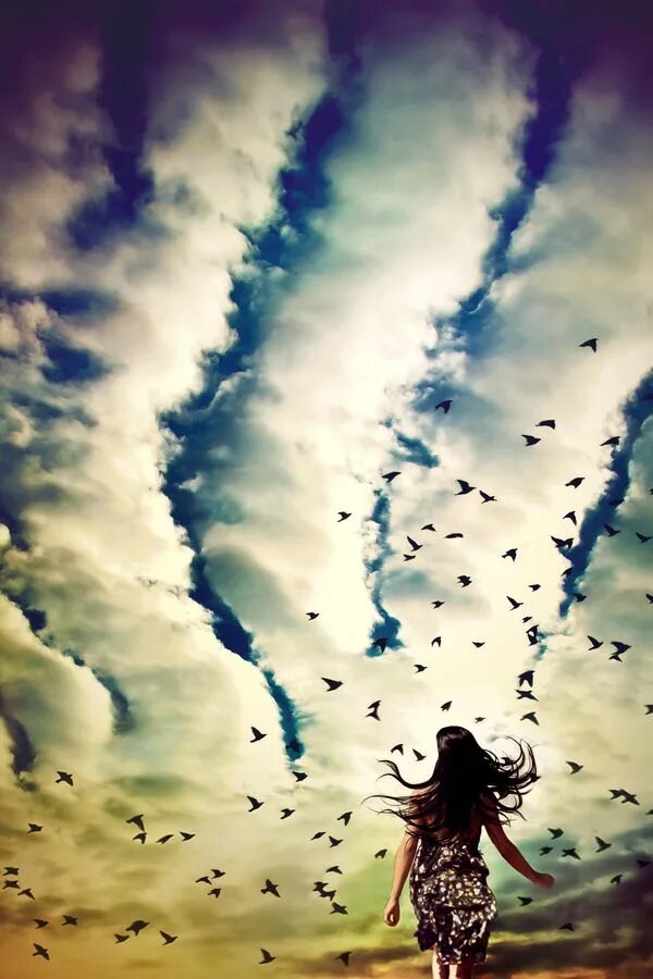 Девушка птица в небе. Девушка в облаках. Девушка и небо. Небо Свобода.