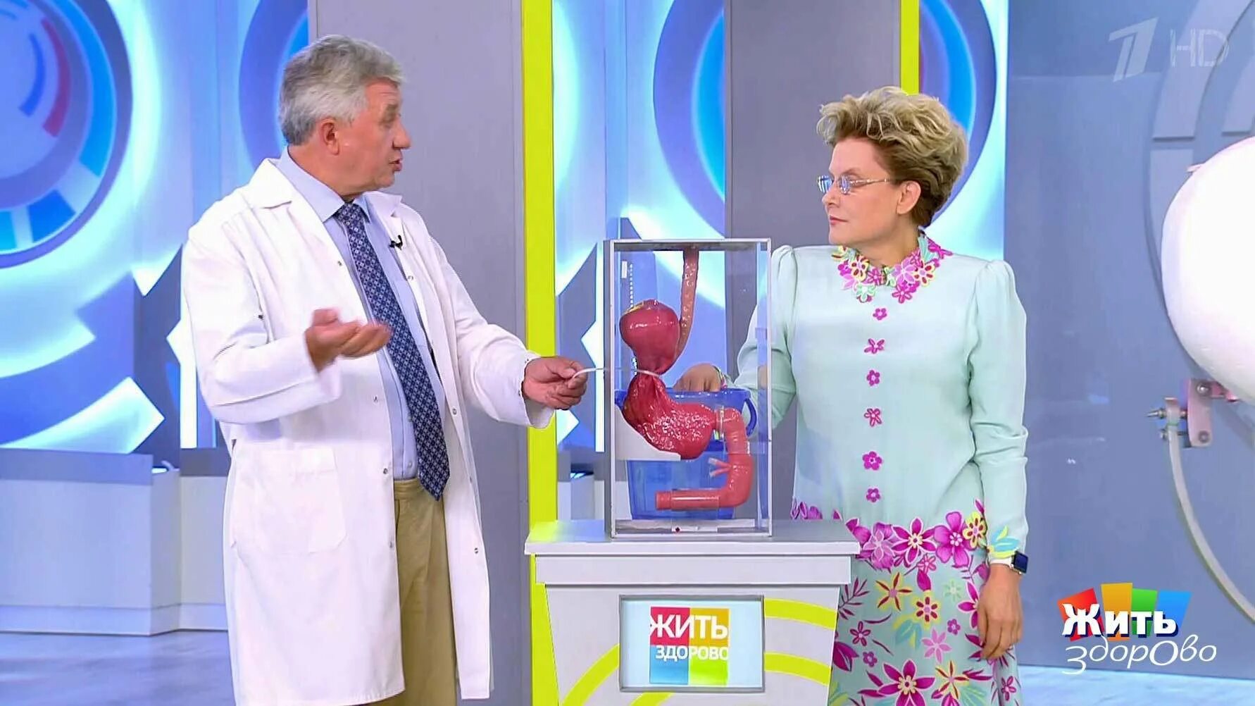 Программа здоровье здоровых. Лена малышева жить здорава. Жить здорово телепередача гандельман. Шубин дмитрий александрович. Здоровье с еленой малышевой елена малышева.