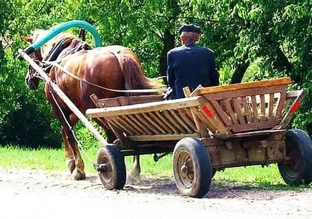 С утра садимся мы в телегу