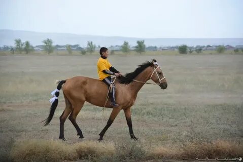 Интернеттегі қыздықты бұзу туралы порно
