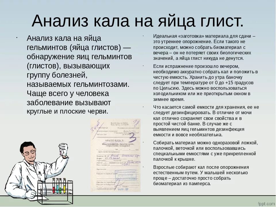 Кал собирается. Анализ кала как правильно собрать и хранить. исследование кала на яйца гельминтов. как правильно сдать анализ кала. как сдавать кал на анализ.