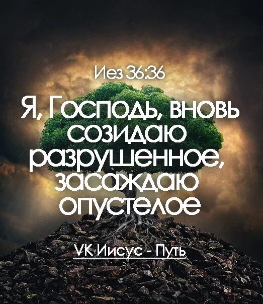 Господь разрушить. Иисус путь. Созидайте цитаты. Созидать это. Созидай.