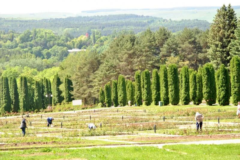 Кисловодск в мае отзывы. Кисловодск парк в мае. Кисловодский парк в мае. Кисловодский парк смотровая площадка. Курортный парк Кисловодска восторг.